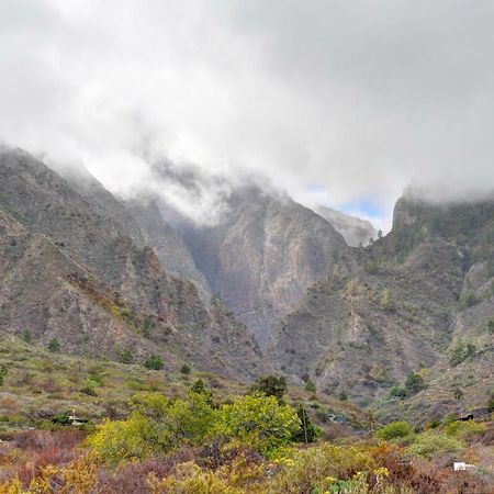 Naturaleza Viva El Socorro Ngoại thất bức ảnh