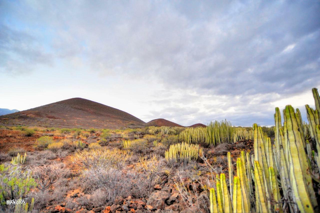 Naturaleza Viva El Socorro Ngoại thất bức ảnh