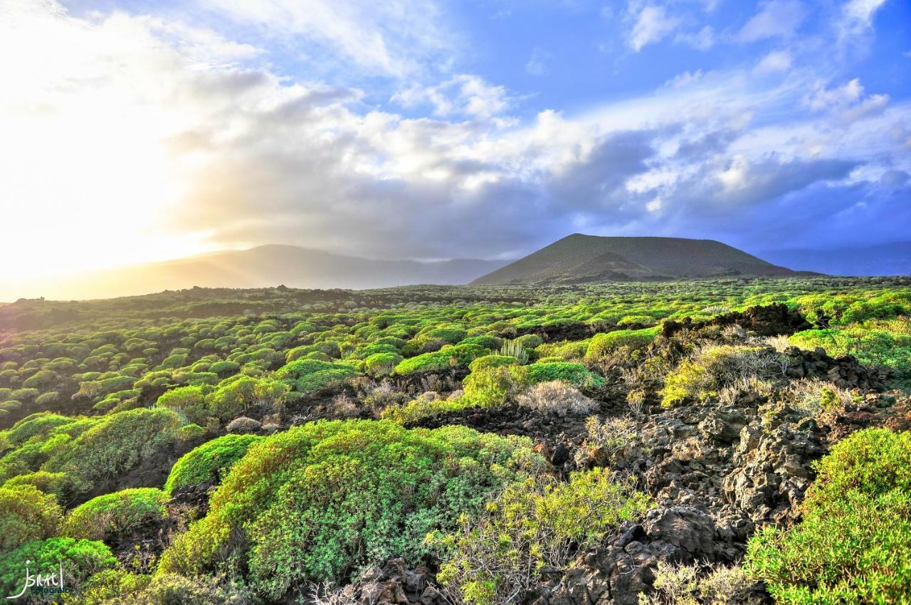 Naturaleza Viva El Socorro Ngoại thất bức ảnh